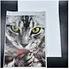 eggshell sticker paper